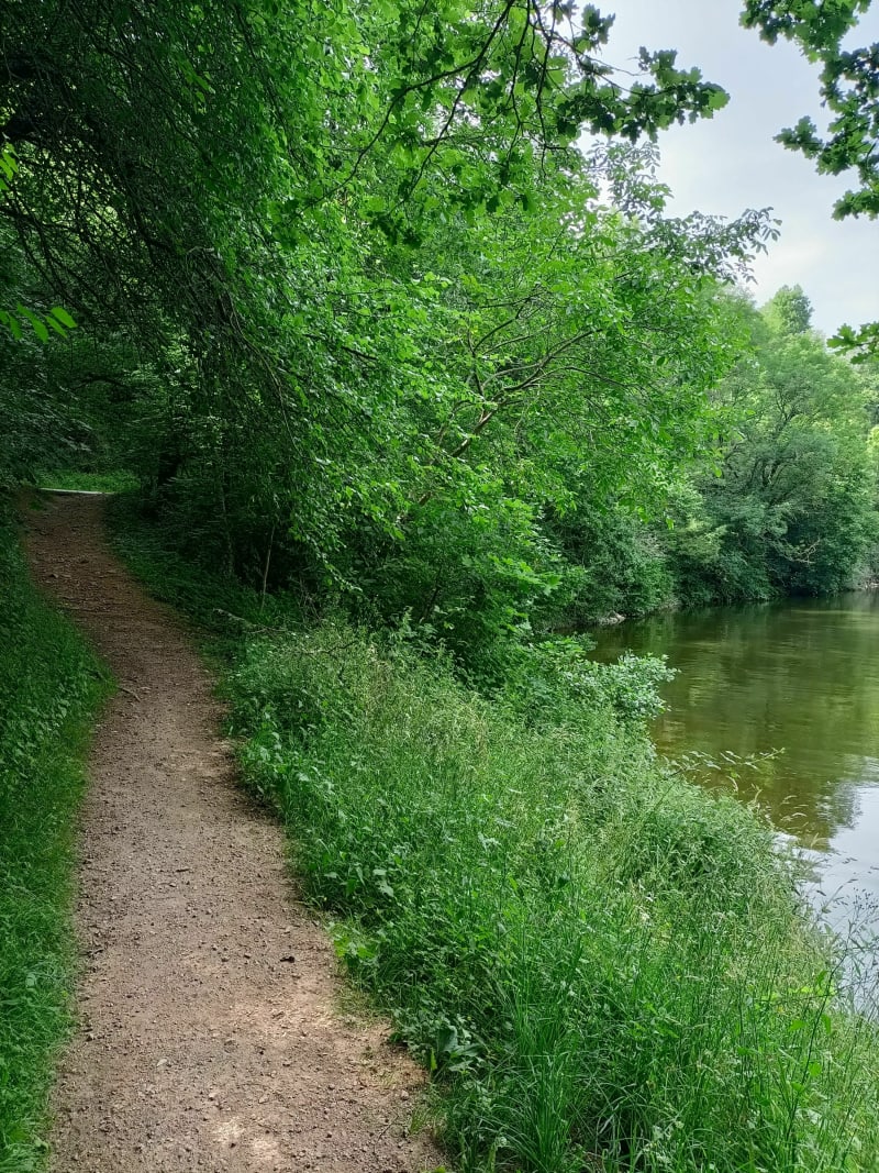 Roche la Molière à Saint Victor sur Loire le long du Lizeron - Roche-la-Molière