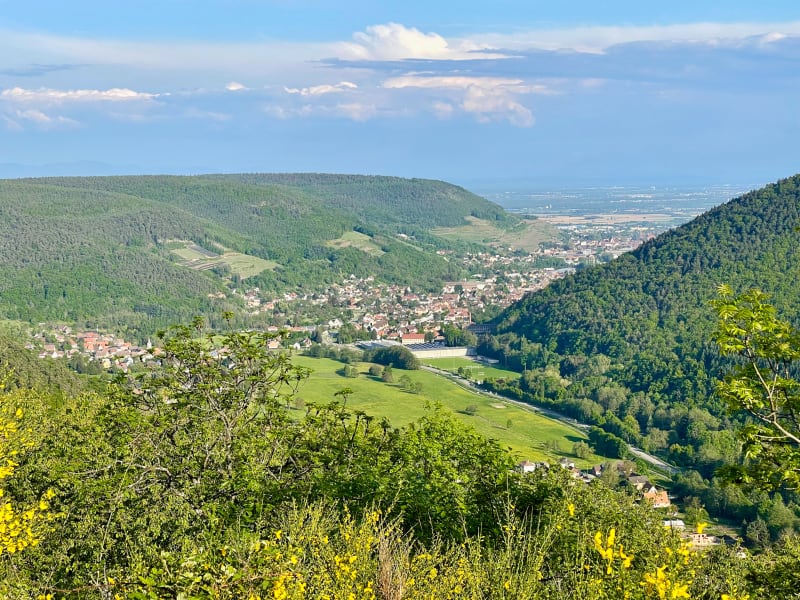 Le Markstein - Guebwiller par le col du Grand Ballon - Guebwiller
