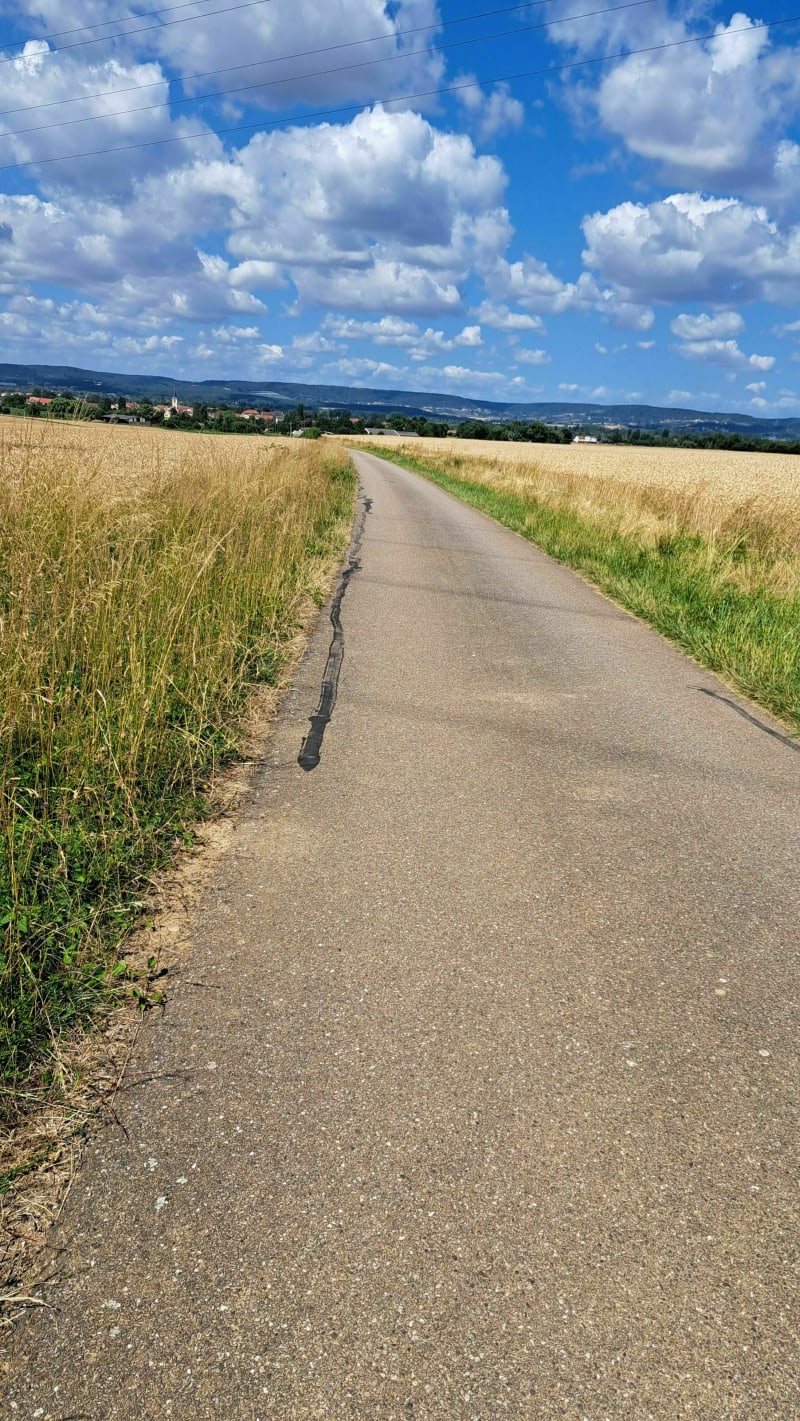 Tour entre champs et forêt à Volstroff - Volstroff
