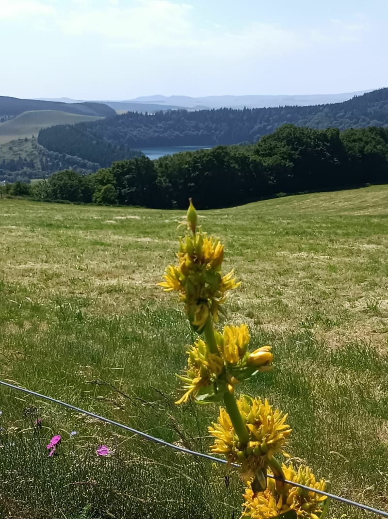 Wandelingen van Super Besse naar het Pavinmeer - Besse-et-Saint-Anastaise