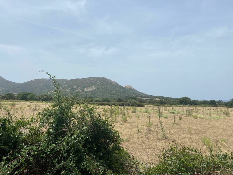 Rondje door het bos vanaf het strand van Aregno - Algajola