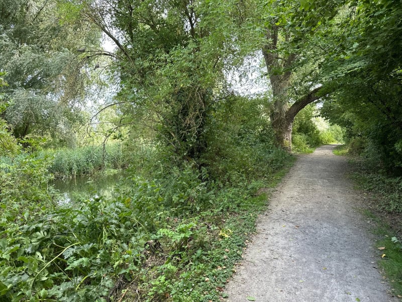 La Deûle au cœur des Weppes - Hallennes-lez-Haubourdin
