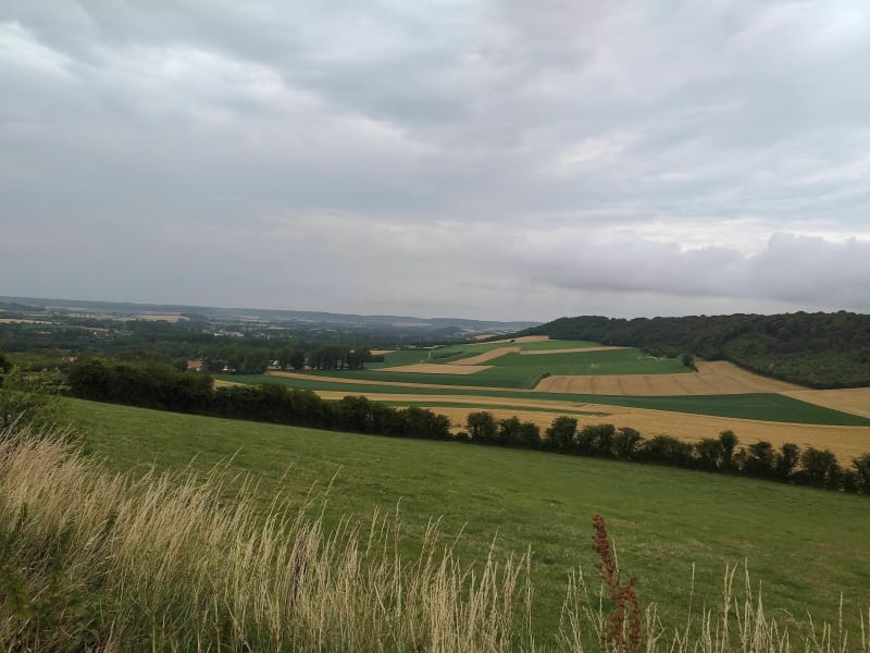 Balade en pays de Lumbres - Escœuilles