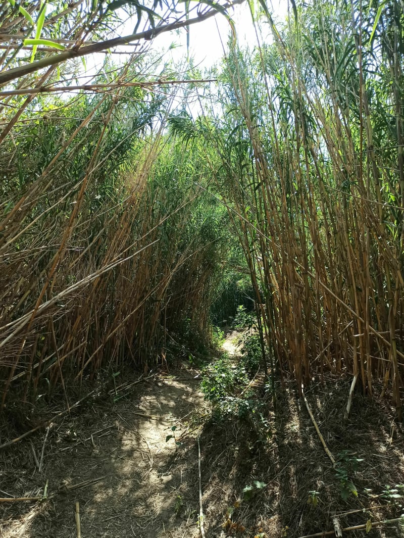 Boucle au pied des Albères - Sorède