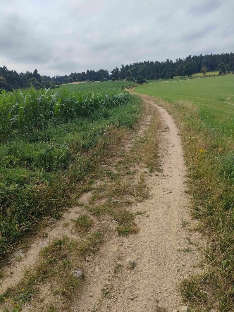 Sur les hauteurs de Saint Just Saint Rambert - Saint-Just-Saint-Rambert