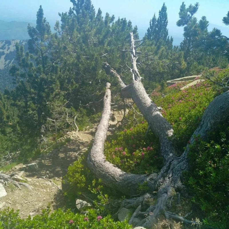 Autour du lac Matemale - Les Angles