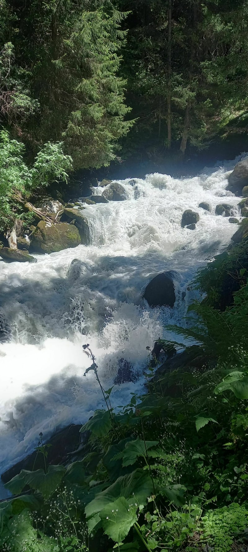 Sentier au fil de l'eau depuis Les Brames - Les Allues