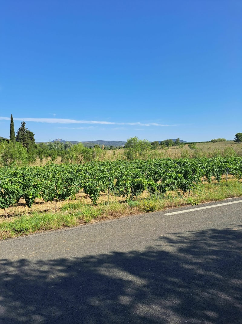 Promenade du dimanche depuis Péret - Peret