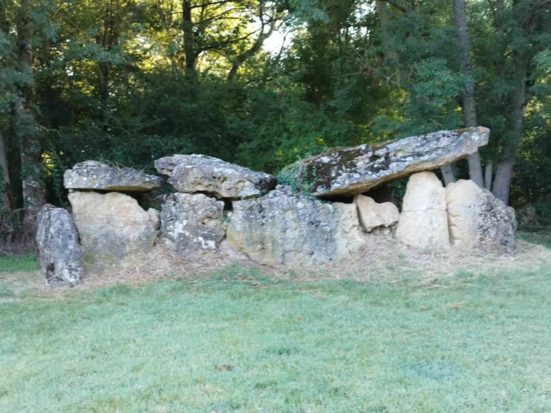 Bocage du Véron - Beaumont-en-Véron