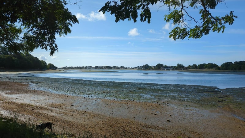 De l'Anse de Saint-Laurent à l'Anse de Penfoulic - La Forêt-Fouesnant