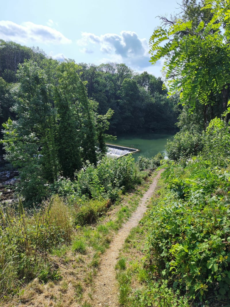 Les bords de l'Ain de Champagnole par Cize - Champagnole
