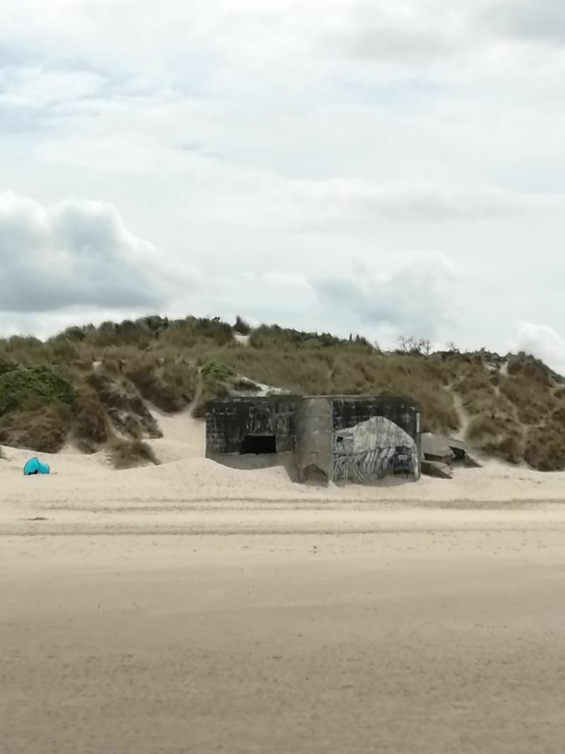 Dunes de Flandre Maritime et Dunes Marchand - Bray-Dunes