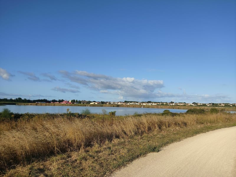 Balade marais, océan et campagne Sablaise. - Les Sables-d'Olonne