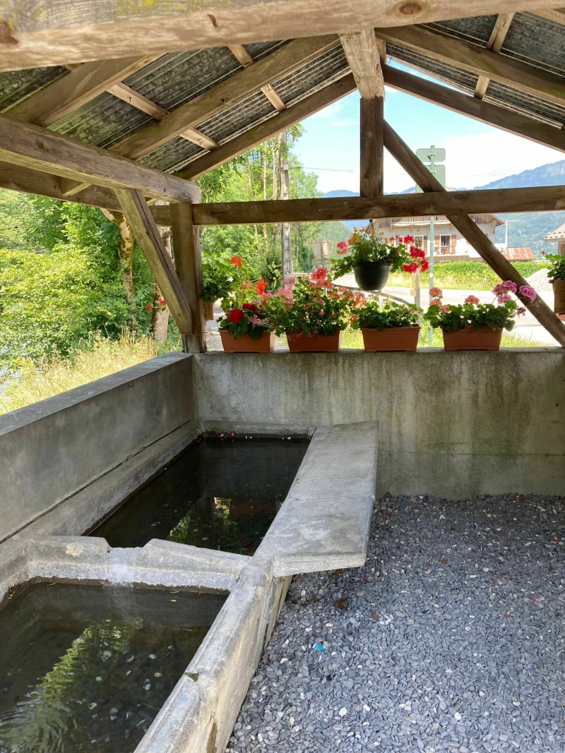 Le Bois aux Dames le long du Griffe au Perret - Samoëns