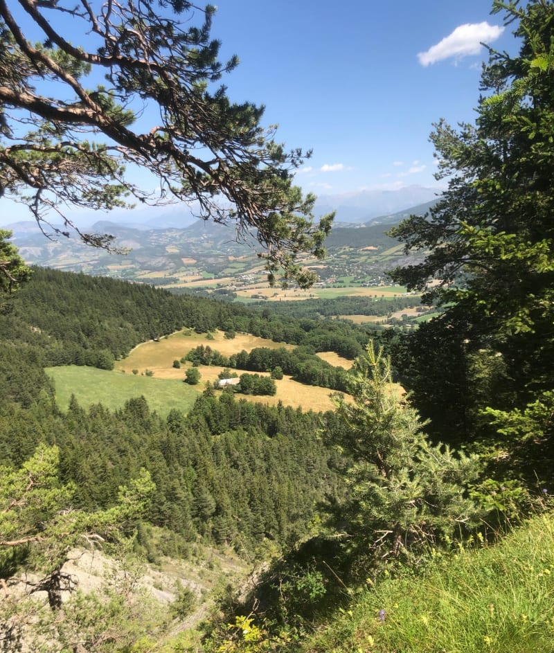 Tour de Seyne par Grand Puy, le Fanget et Chabanon - Seyne