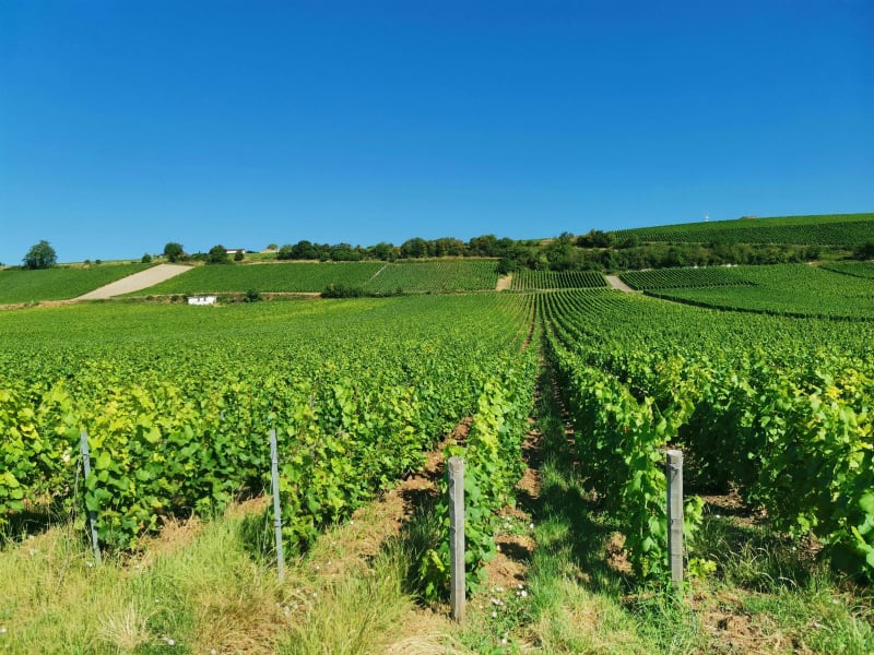 Montgueux - Torvilliers - Macey - Macey