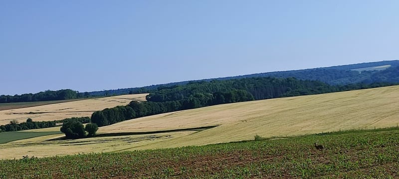 Balade à Marville par la Treppe - Saint-Jean-lès-Longuyon