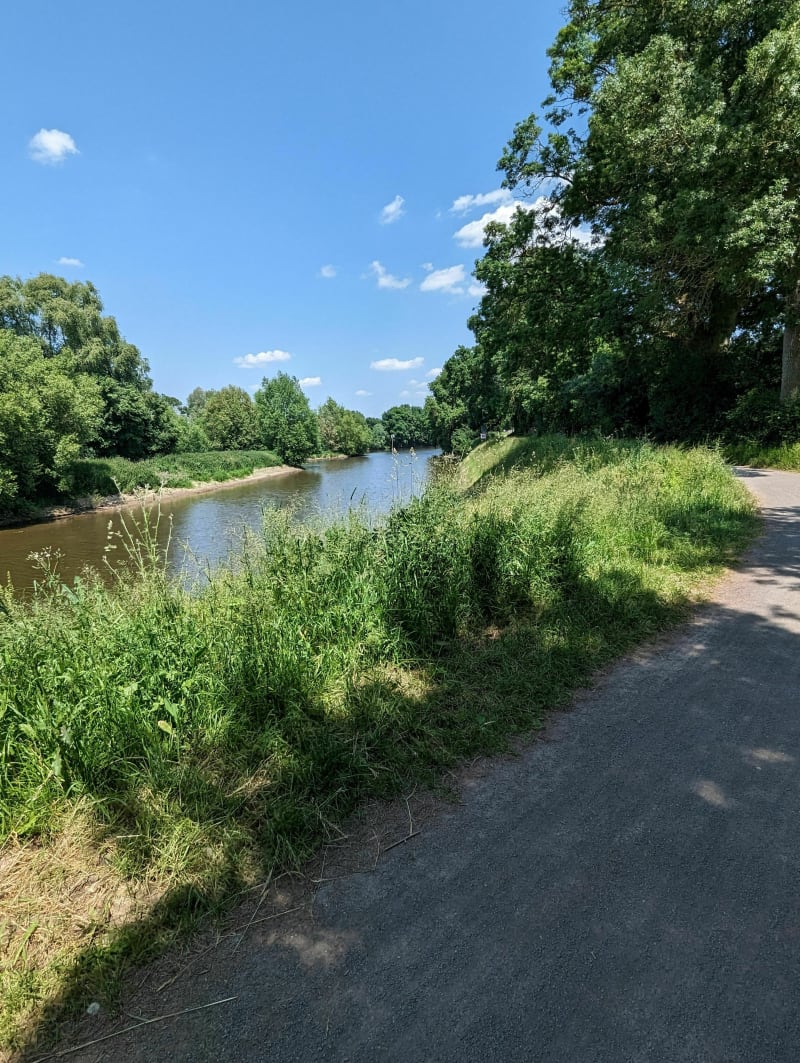 Promenade aux  bord de la Mayenne - Avrillé