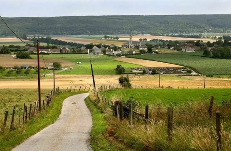 Marais de Vimont et campagne environnante - Argences