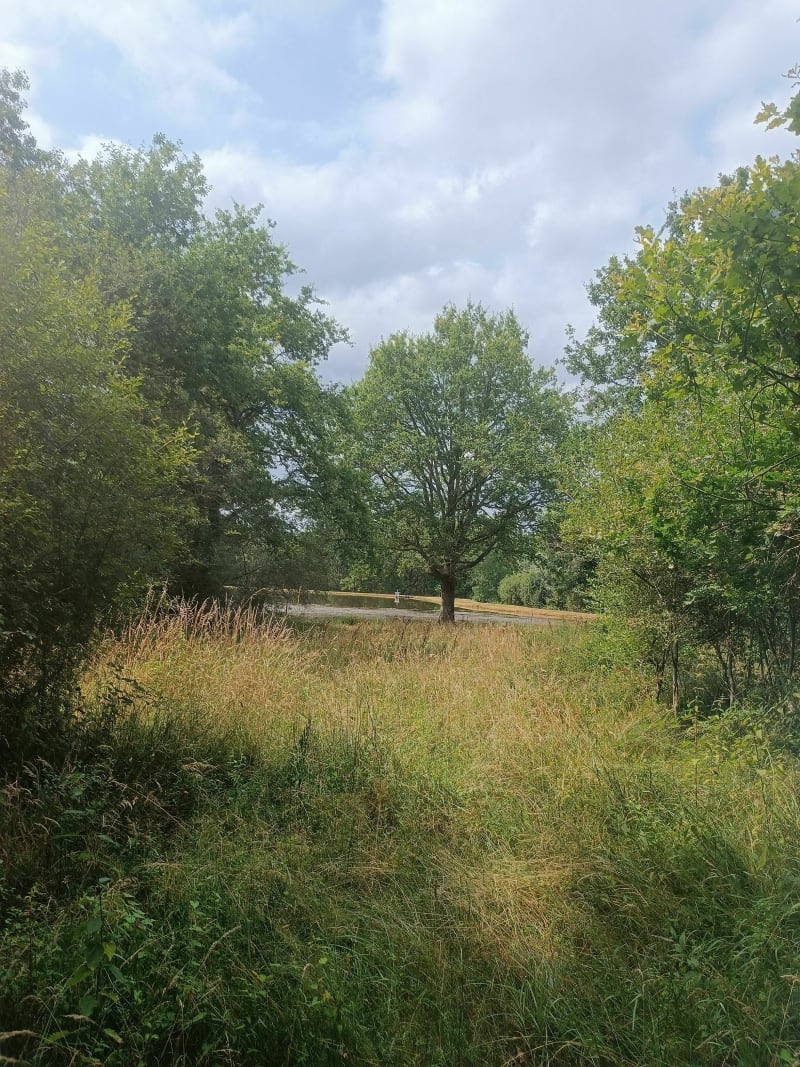 Un beau tour dans les bois de Sologne - La Ferté-Saint-Aubin