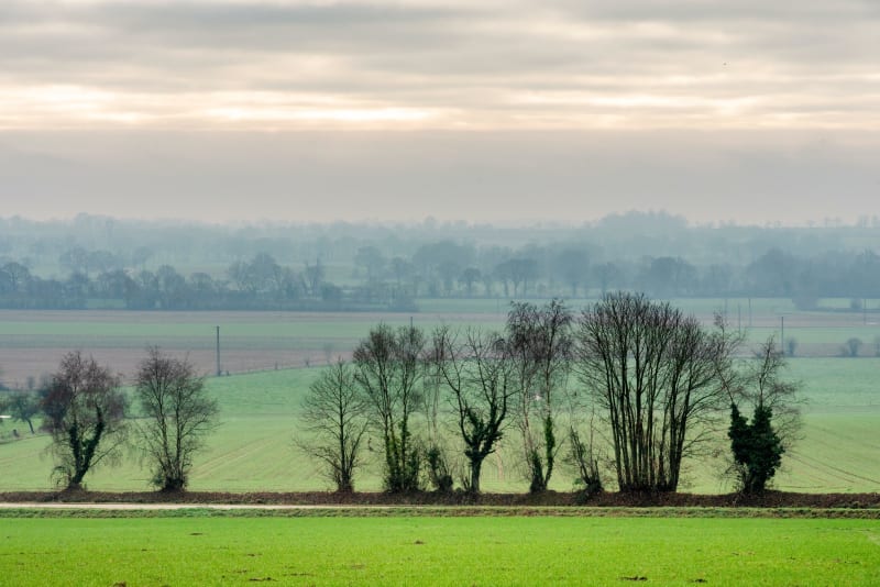 Belle balade dans Saint Floris par la Lys - Saint-Floris