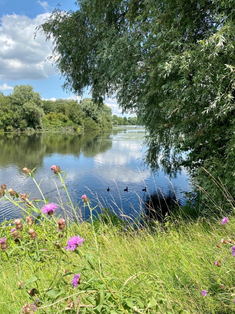 Le lac du Héron et ses alentours - Villeneuve-d'Ascq