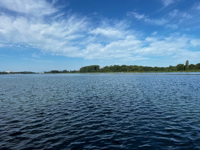 Tour du lac du Grand Large au départ de Genas - Genas