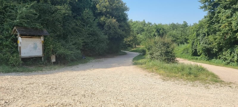 Parcours 2 des bois de la Naisse - Mâcon