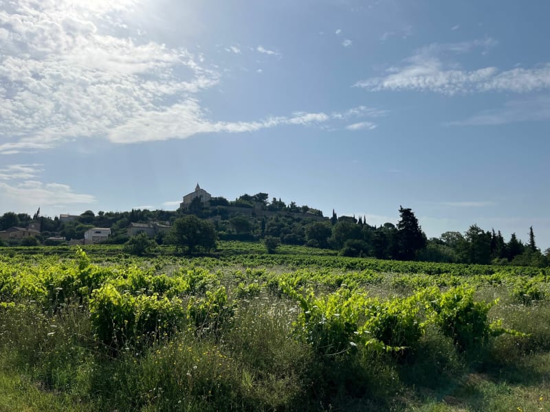 Belle balade entre Sainte Cécile les vignes et Rasteau - Sainte-Cécile-les-Vignes
