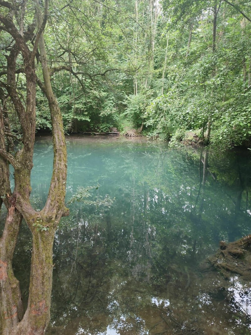 La Loire à vélo de Meung sur Loire à Avaray - Meung-sur-Loire