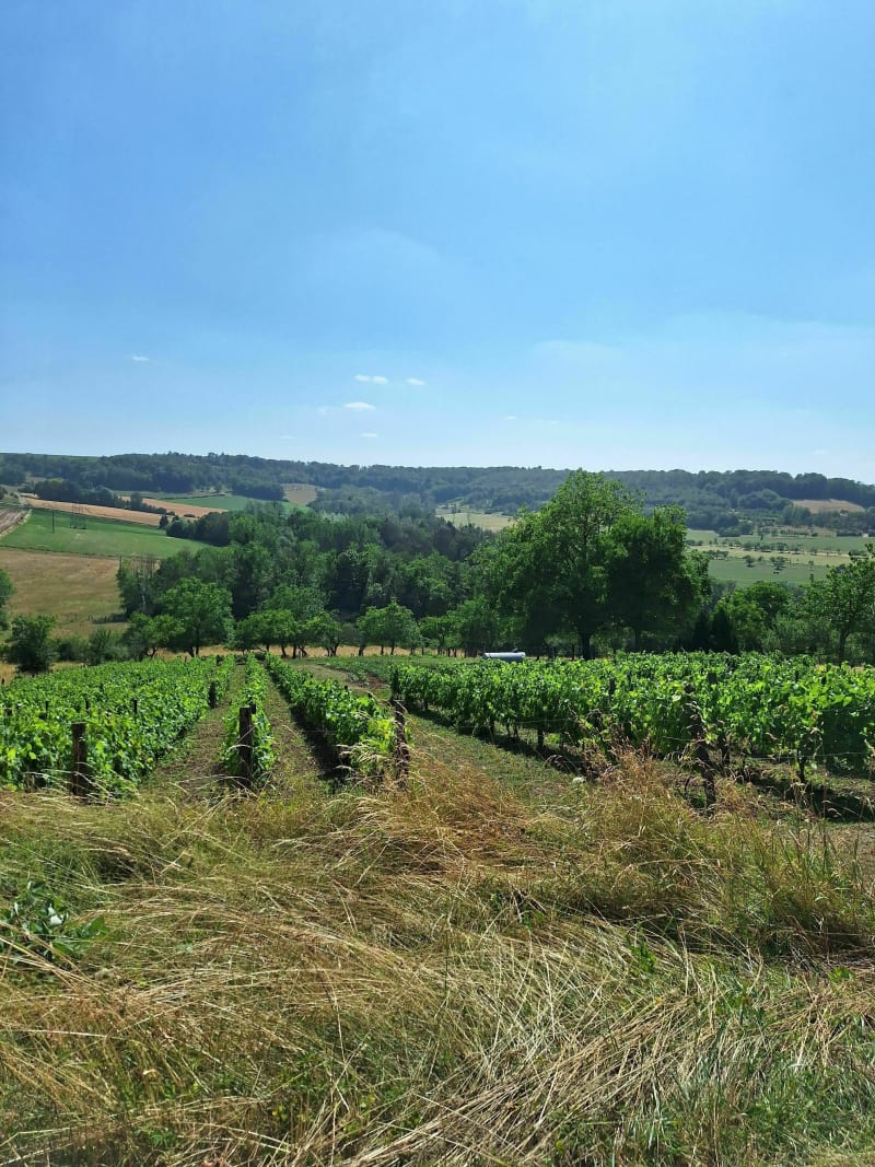 Le" Charmes" de la Campagne Vosgienne - Charmes