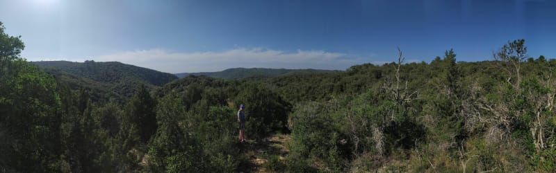 Ravin d'Ourminière près de Gréoux-les-Bains - Saint-Julien