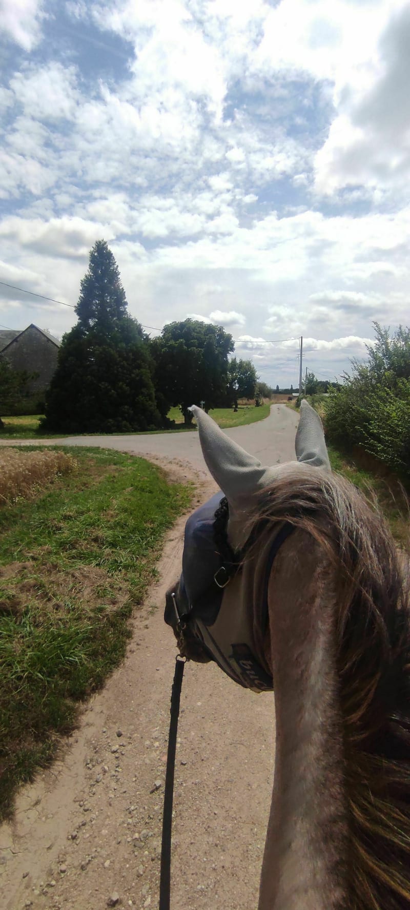 Sur un chemin de Dame-Marie - Dame-Marie-les-Bois