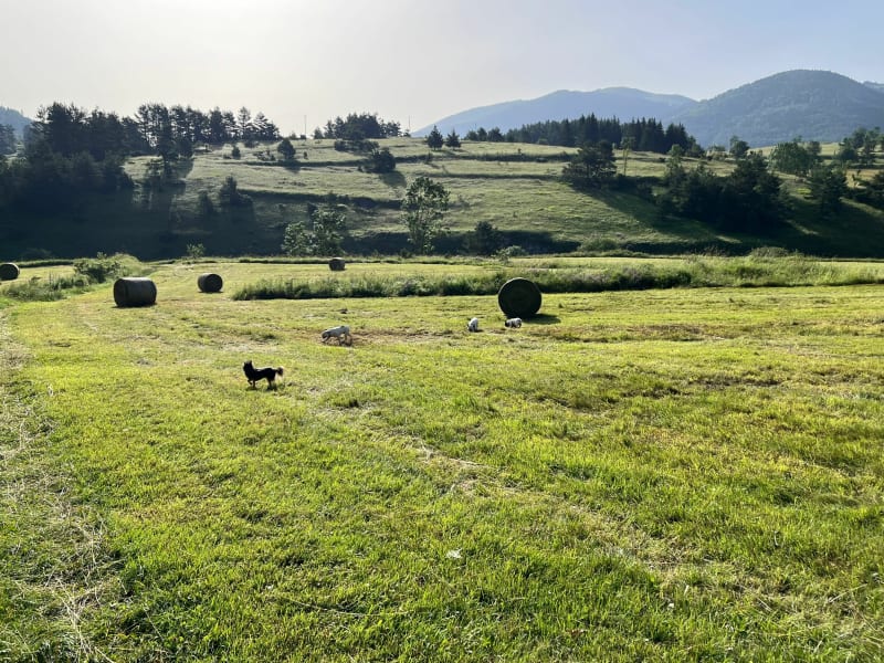 Boucle entre Prades et Camurac - Prades