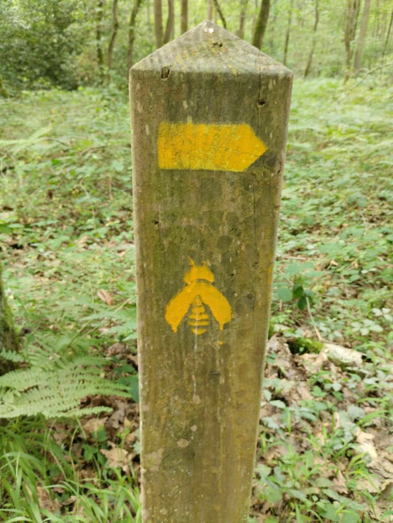 Petit parcours du Parc de St-Cyr depuis Elbeuf - Elbeuf