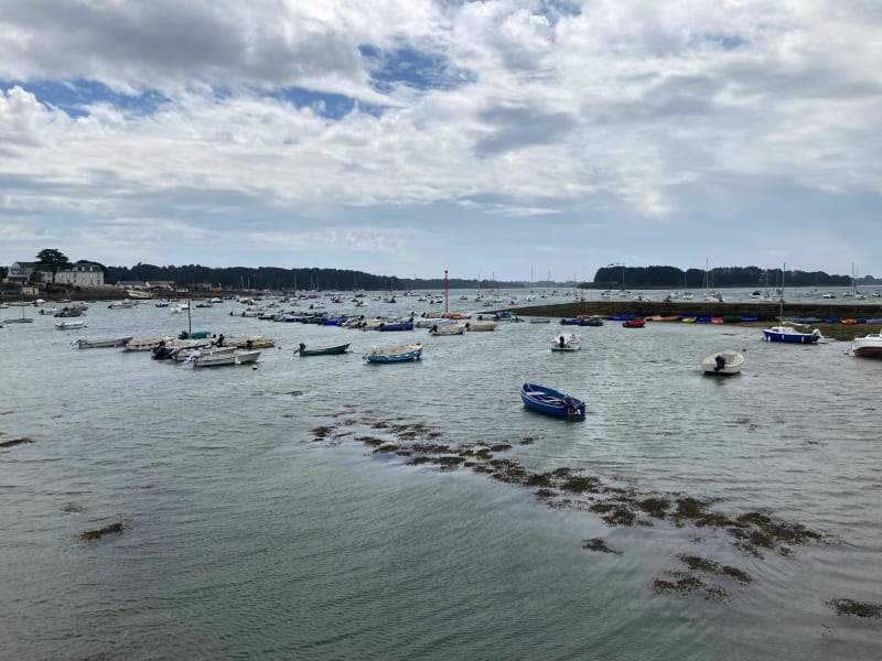 Boucle de Larmor-Baden par l'île Berder et Bocoan - Larmor-Baden