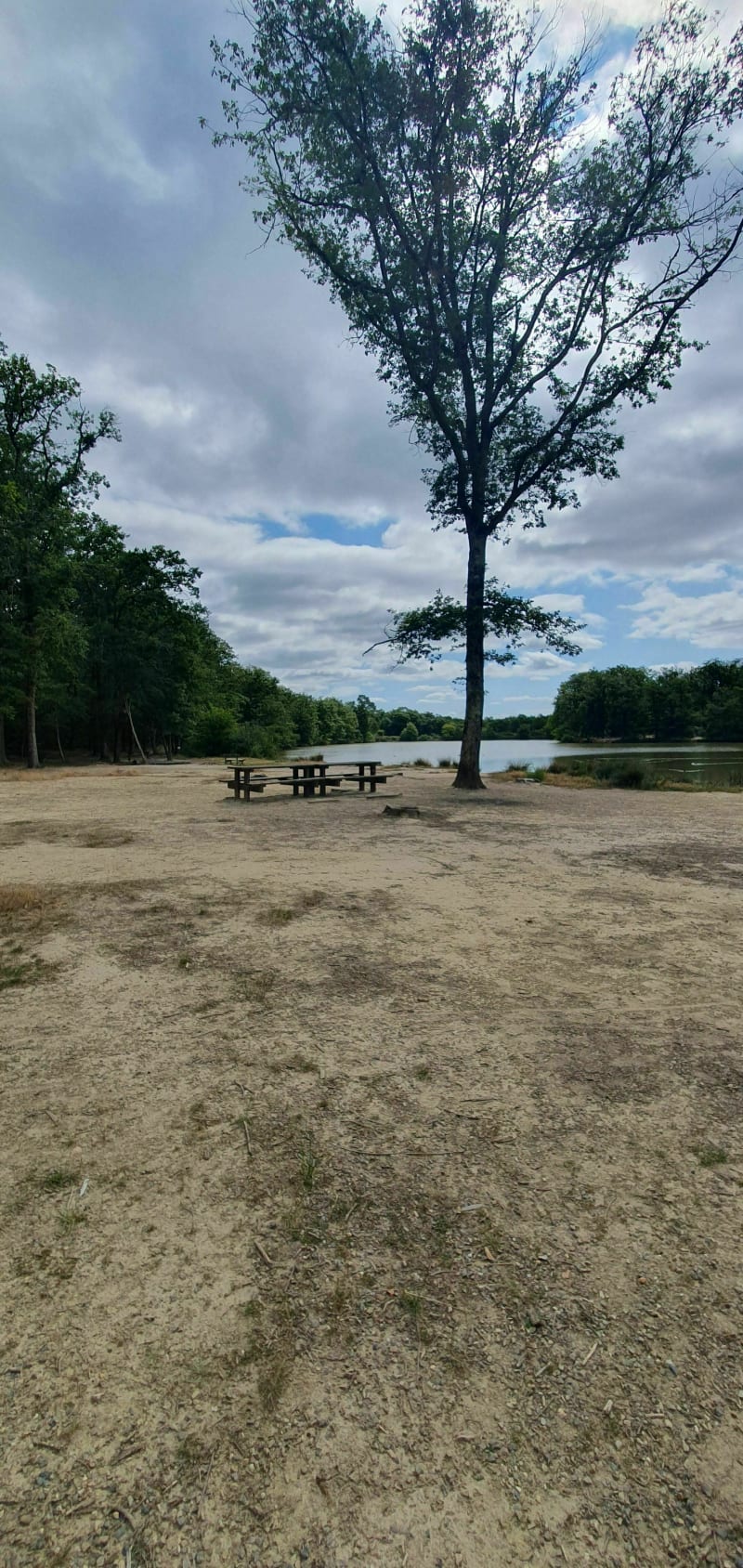 Balade en gravel sur asphalte et sentiers forestiers depuis Léguevin - Léguevin