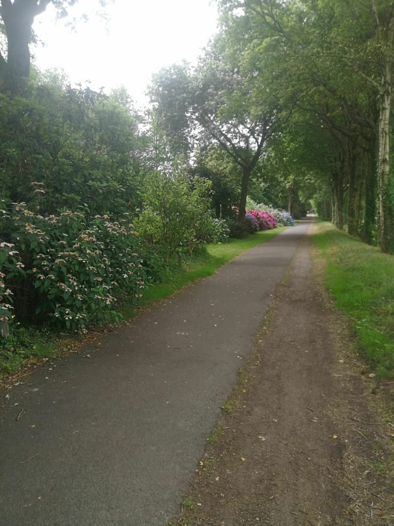 Agréable  balade en vélo sur la voie verte MauronQuestembert - Taupont
