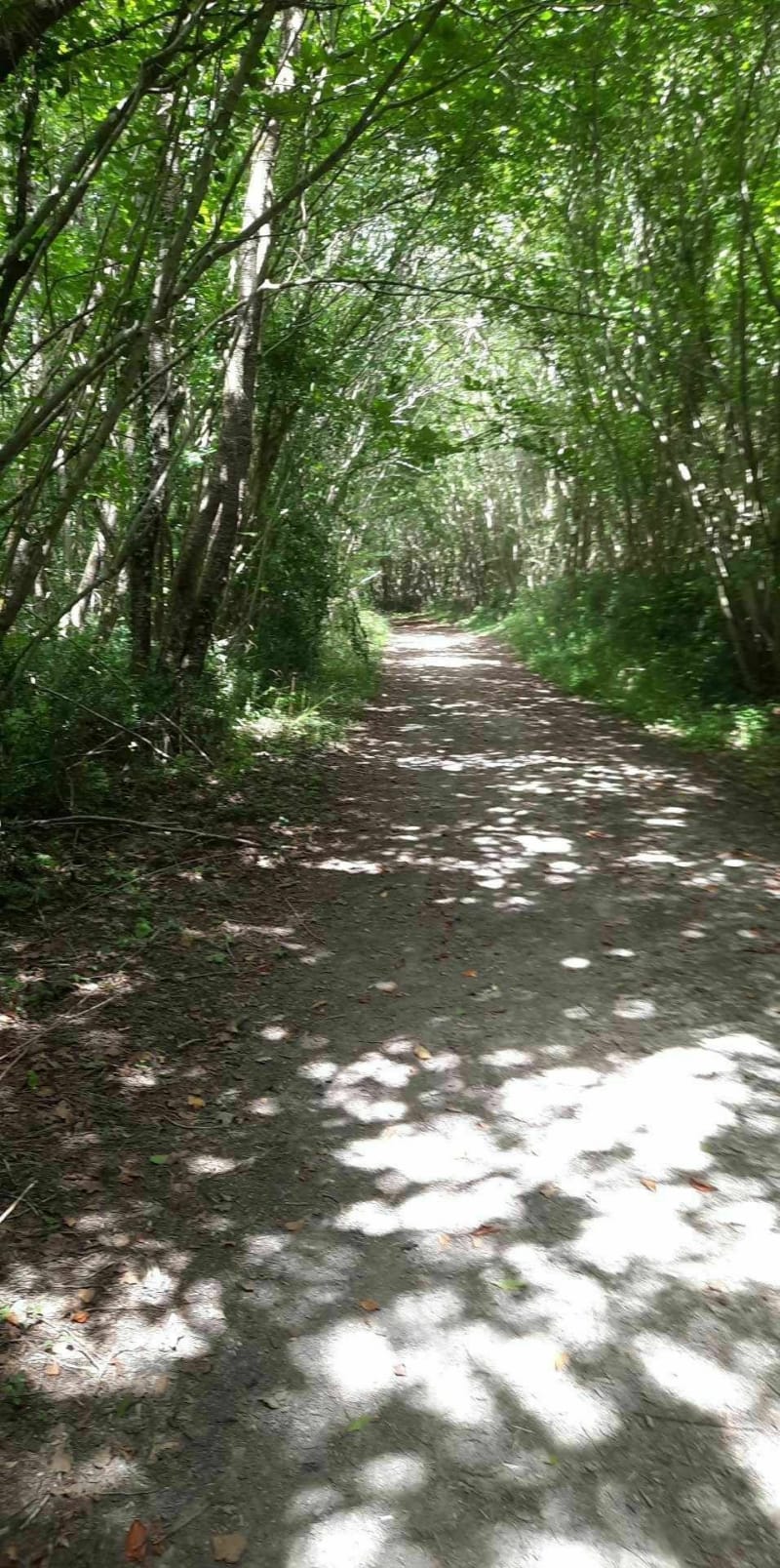 Balade en forêt et chemin VTT  pour débutant - La Clisse