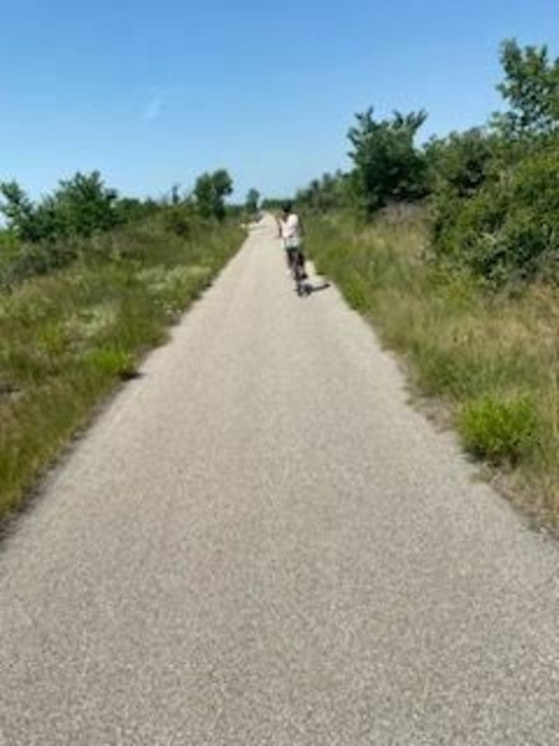 Promenade sur la Via Rhôna depuis Mas-Thibert - Arles