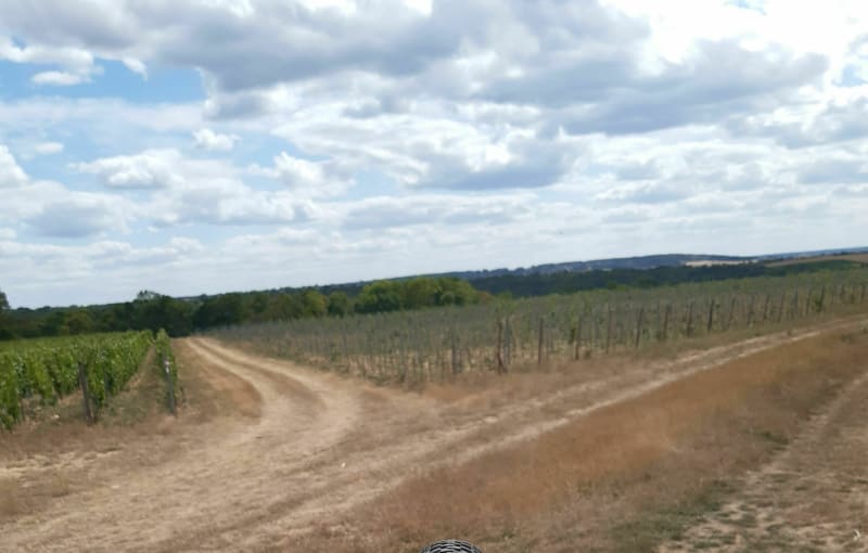 Boucle autour de Beynes par Crespieres Thiverval Cressay - Beynes