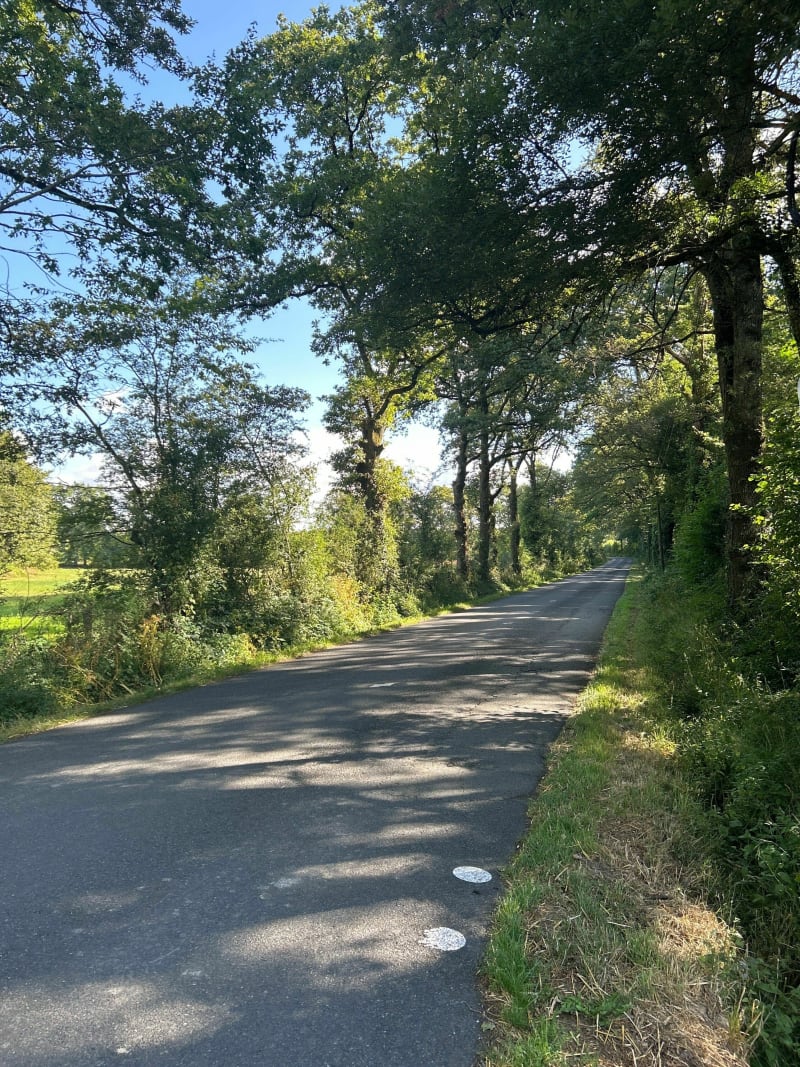 Boucle Cholet - Cholet par Trémentines - Cholet