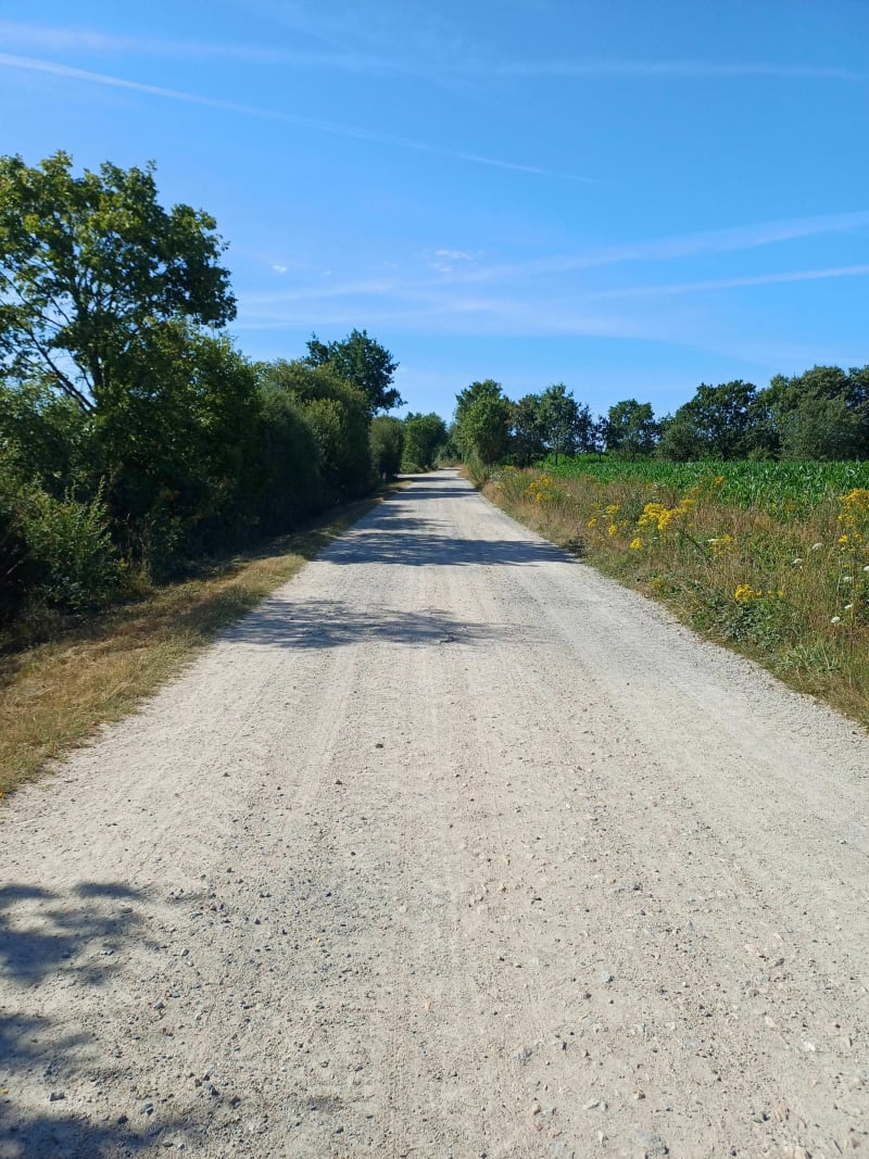 Belle balade autour de Dompierre-sur-Yon sur sentier - Dompierre-sur-Yon