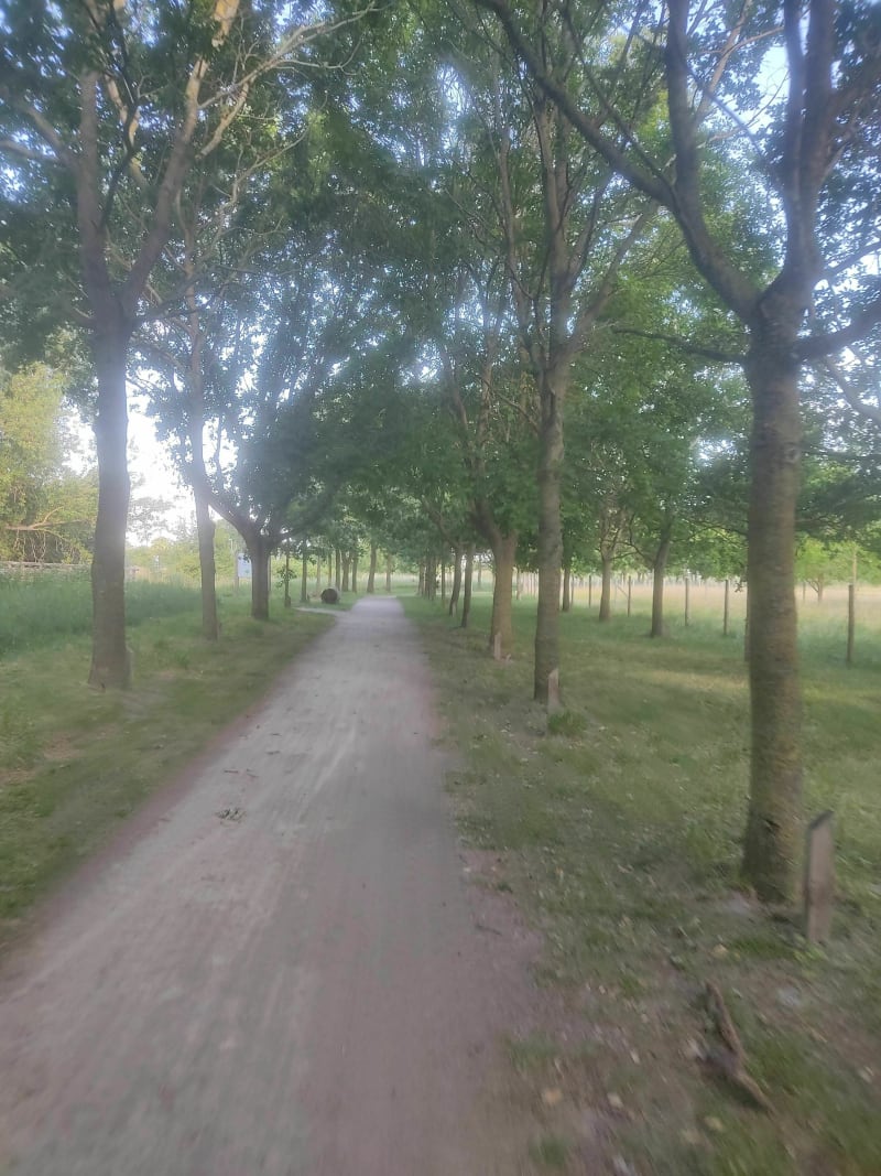 VTT facile autour de Gravelines - Gravelines