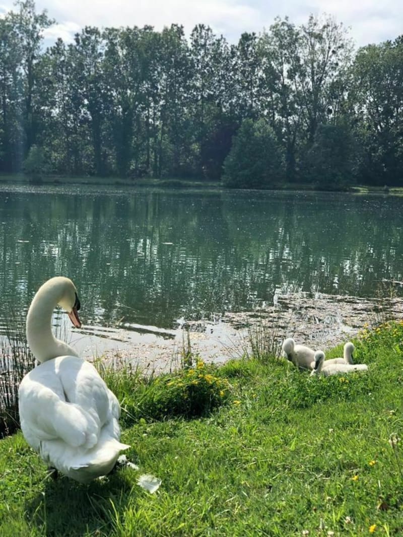 Longages et les lacs de Sabatouse - Longages