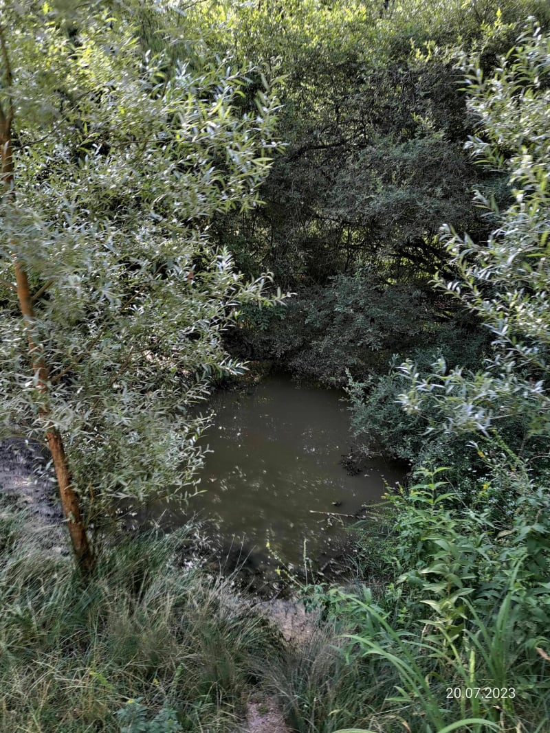 Tour en forêt de Sénart par le Clos de la régale - Draveil