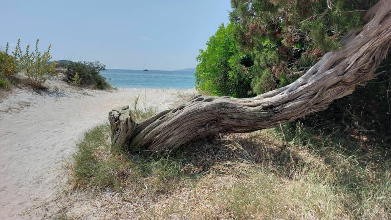 Tournée des plages entre Cala Rossa et Saint-Cyprien - Lecci