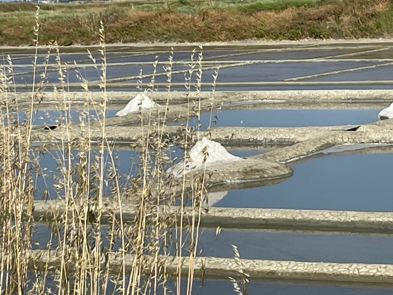 Marais salants et côte sauvage à la Baule - Guérande