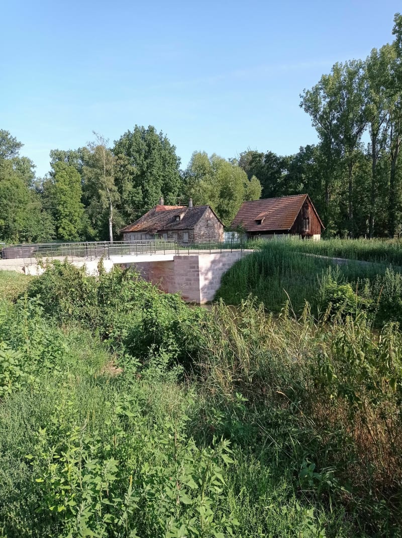 Les rives bucoliques du Canal de la Bruche - Illkirch-Graffenstaden