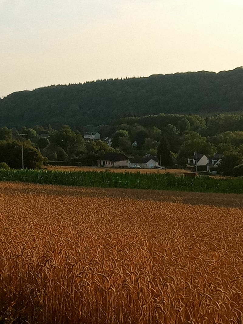 Boucle des deux églises depuis Croisy-sur-Andelle - Croisy-sur-Andelle